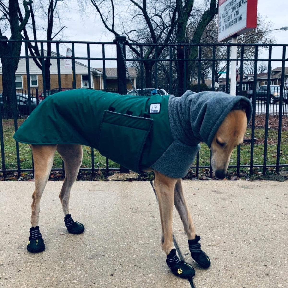 Expawlorer Anti-Slip Dog Shoes Dog Booties for Winter with