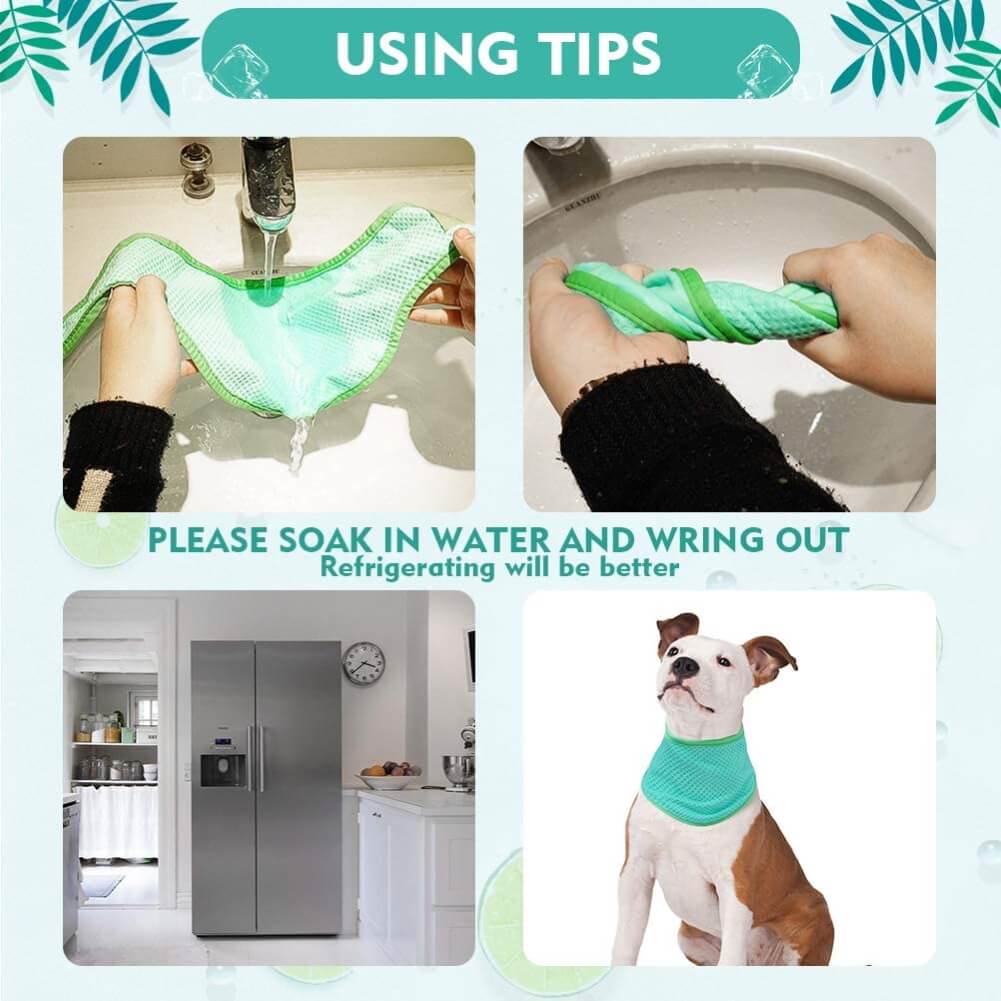 Pet Self Cooling Bandana for Dogs EXPAWLORER