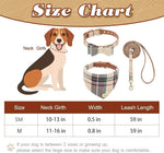 Load image into Gallery viewer, EXPAWLORER Dog Collar and Leash Set
