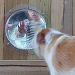 Load image into Gallery viewer, Fence Window for Pet - Durable Acrylic Dog Dome
