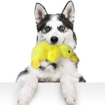 Load image into Gallery viewer, Plush Squeaky Dog Toy Cute Yellow Duck Chew Toys for Dogs
