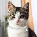 Load image into Gallery viewer, Bling Cat Collar Breakaway with Bells - 2 Pack Collars for Cats and Small Dogs
