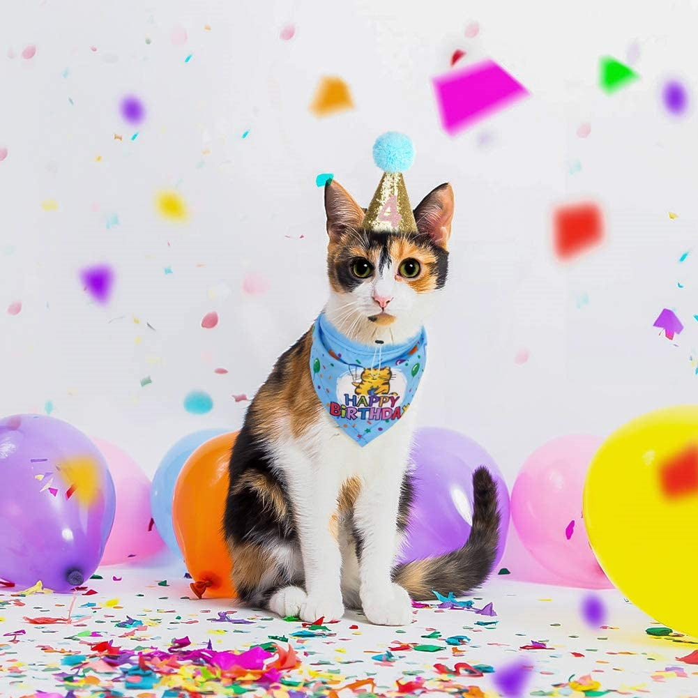 Cat Birthday Bandanna Hat Banner Set - Blue