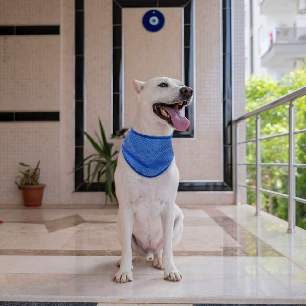 Pet Self Cooling Bandana for Dogs
