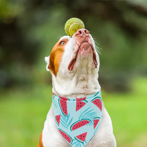 Dog Cooling Bandannas - 4 Pack with Cute Fruit Patterns