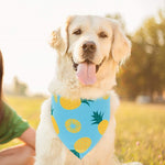 Load image into Gallery viewer, Dog Cooling Bandannas - 4 Pack with Cute Fruit Patterns
