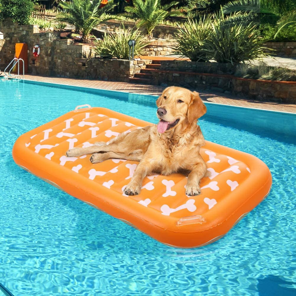 Inflatable Dog Pool Float - with Cute Paw Design – EXPAWLORER